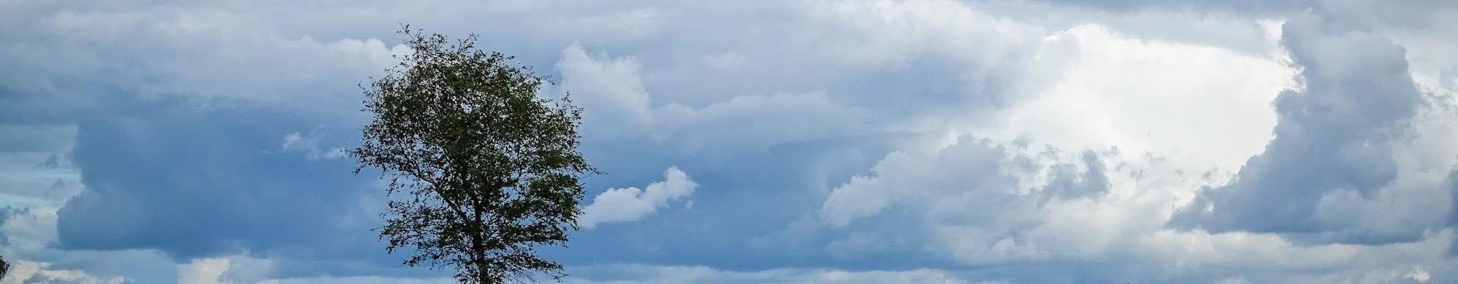 Dit is waarom de Posbank behoort tot de mooiste natuur van Nederland