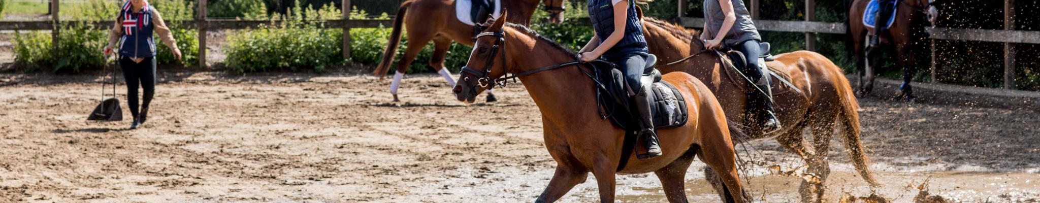   6x fantastische ruiterroutes op de Veluwe