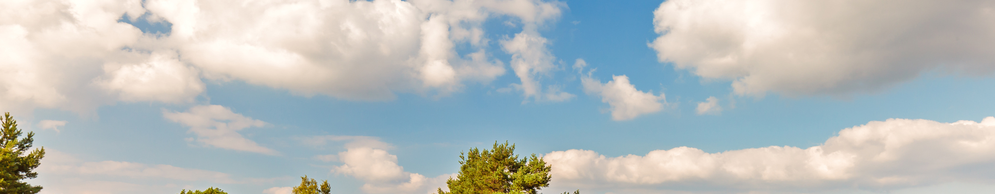 Dit zijn de 10 allermooiste wandelroutes op de Veluwe